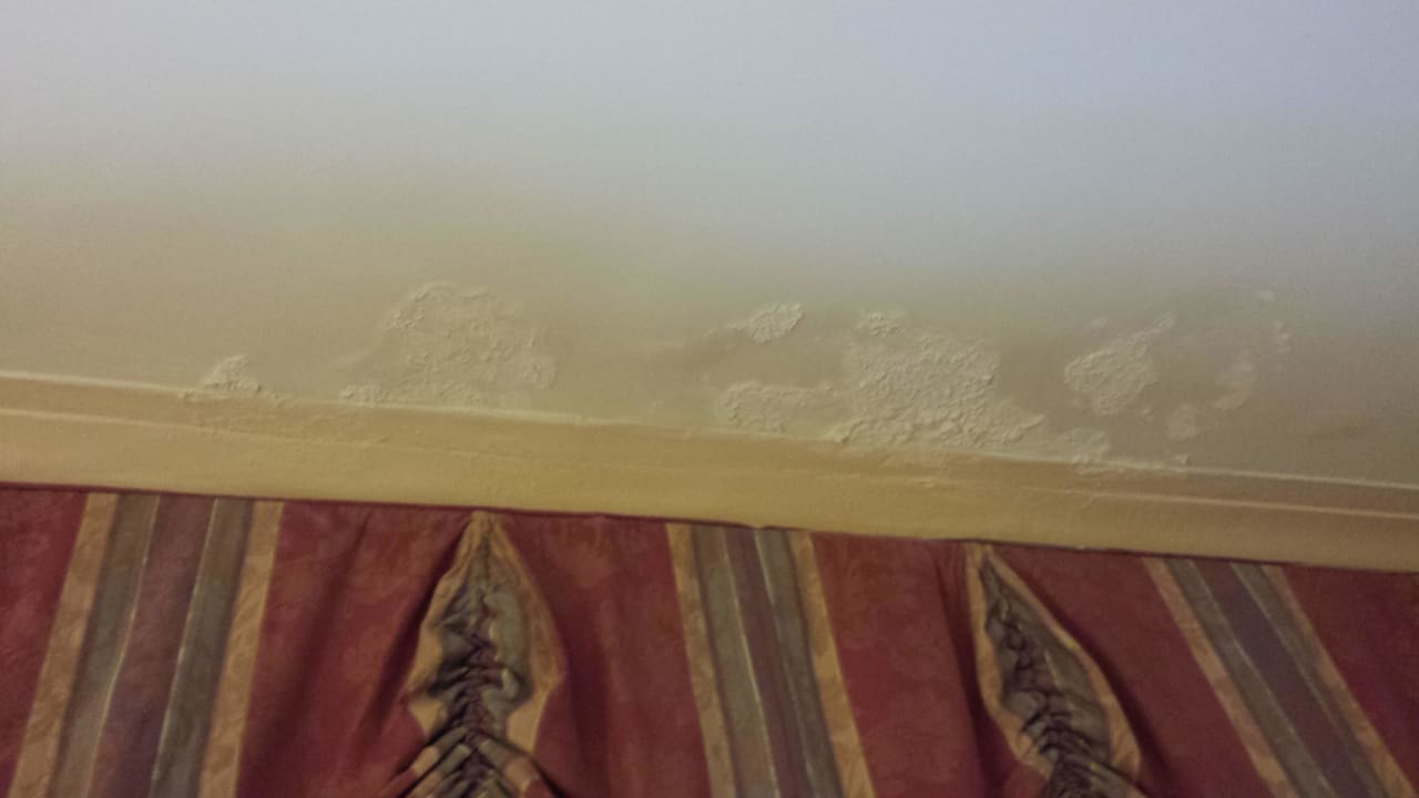 Schimmel an Decke The Waldorf Astoria New York