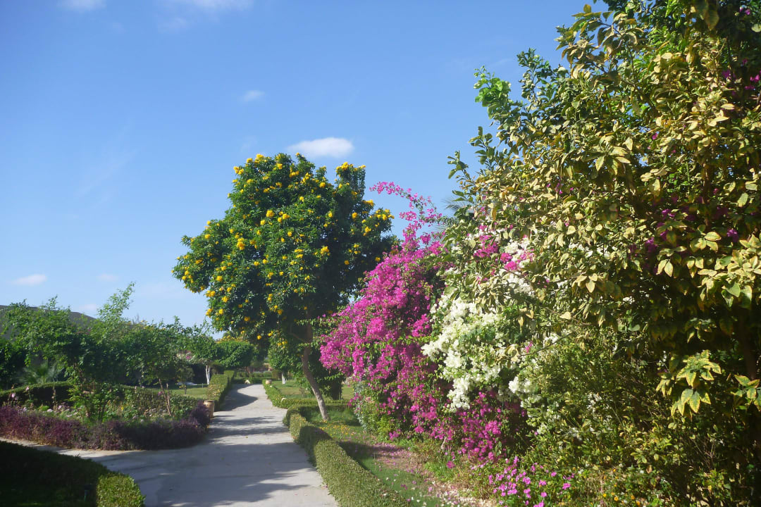 Wunderbare gepflegte Anlage Three Corners Sea Beach Resort