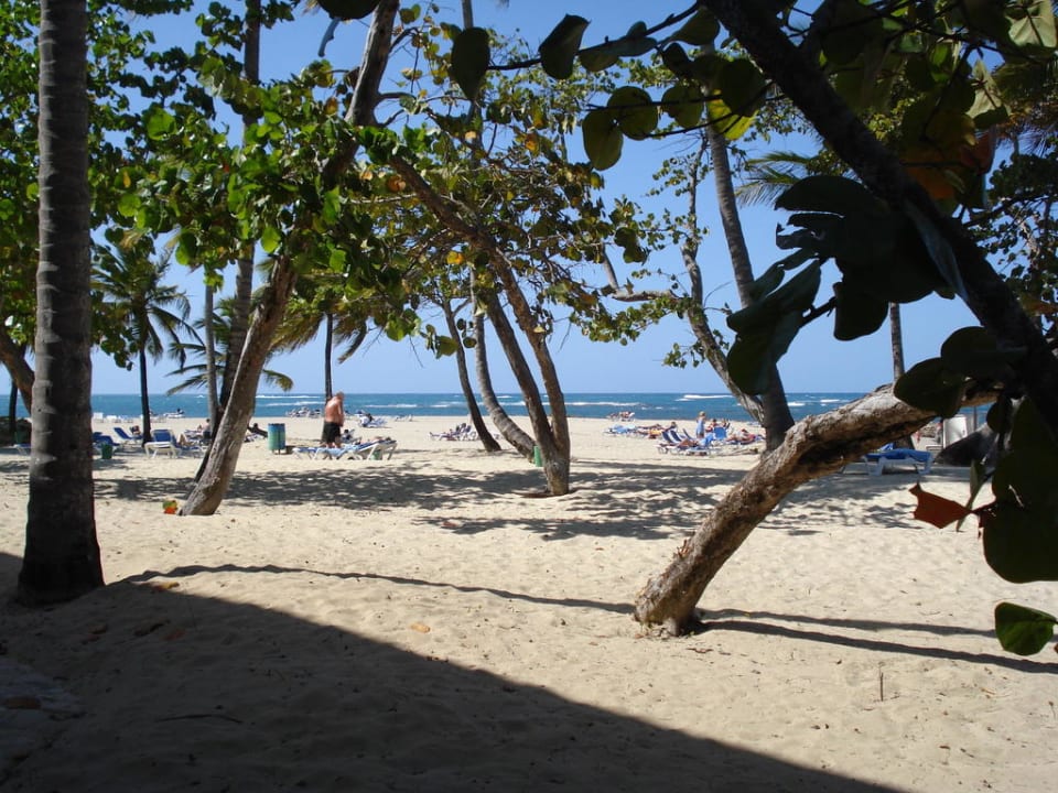 Blick auf den Hotelstrand auf der rechten Seite Grand Paradise Playa Dorada