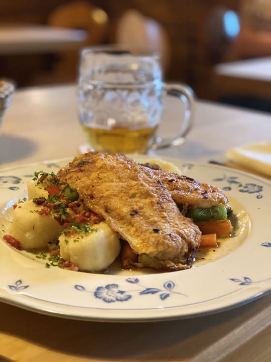 Gastro Gasthof & Hotel Dammschenke