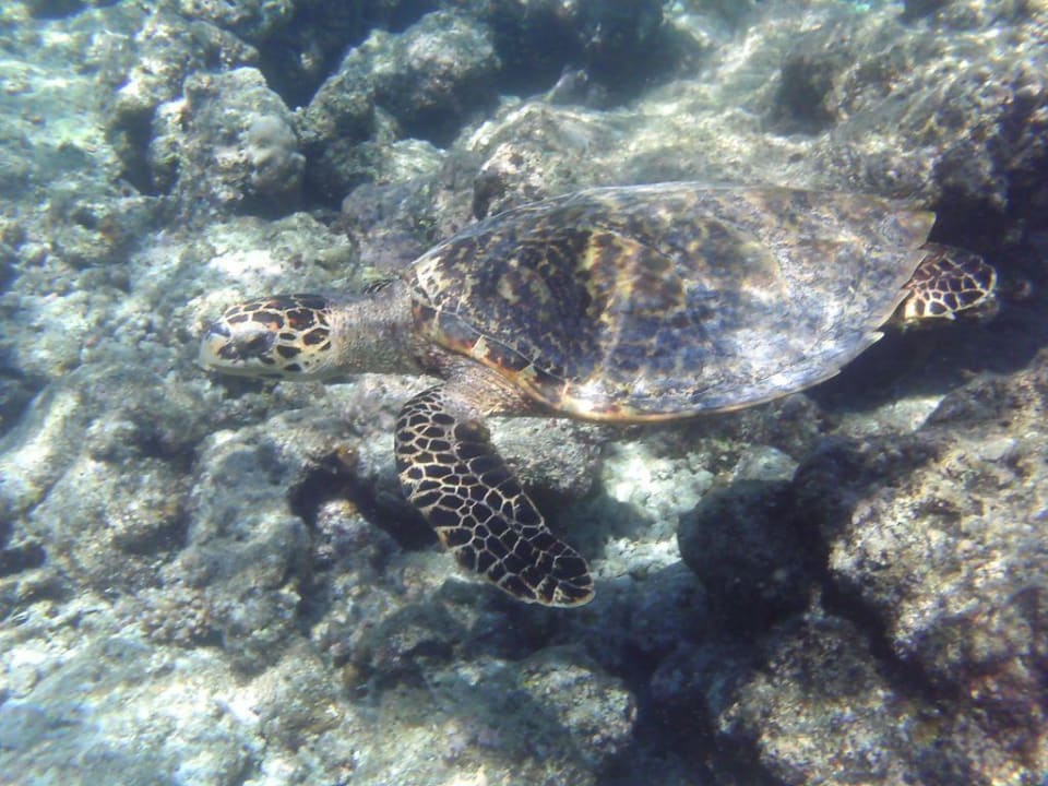 Schildi Embudu Village