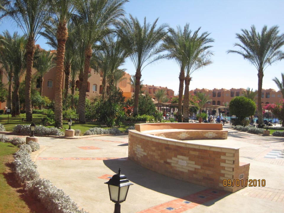 Grünanlage um den Pool Jaz Makadi Oasis Resort