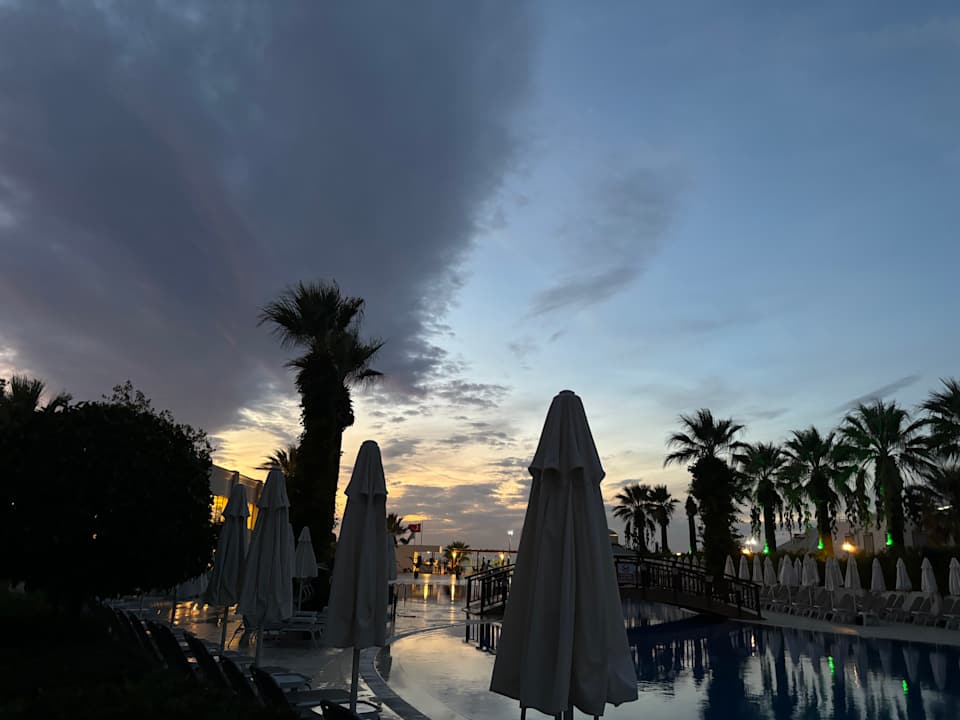 Pool Palm Wings Kusadasi Beach Resort & Spa