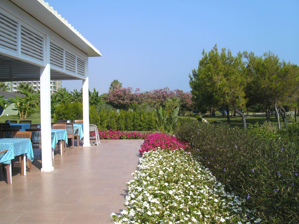 Garten vor Strandbar VONRESORT Golden Beach