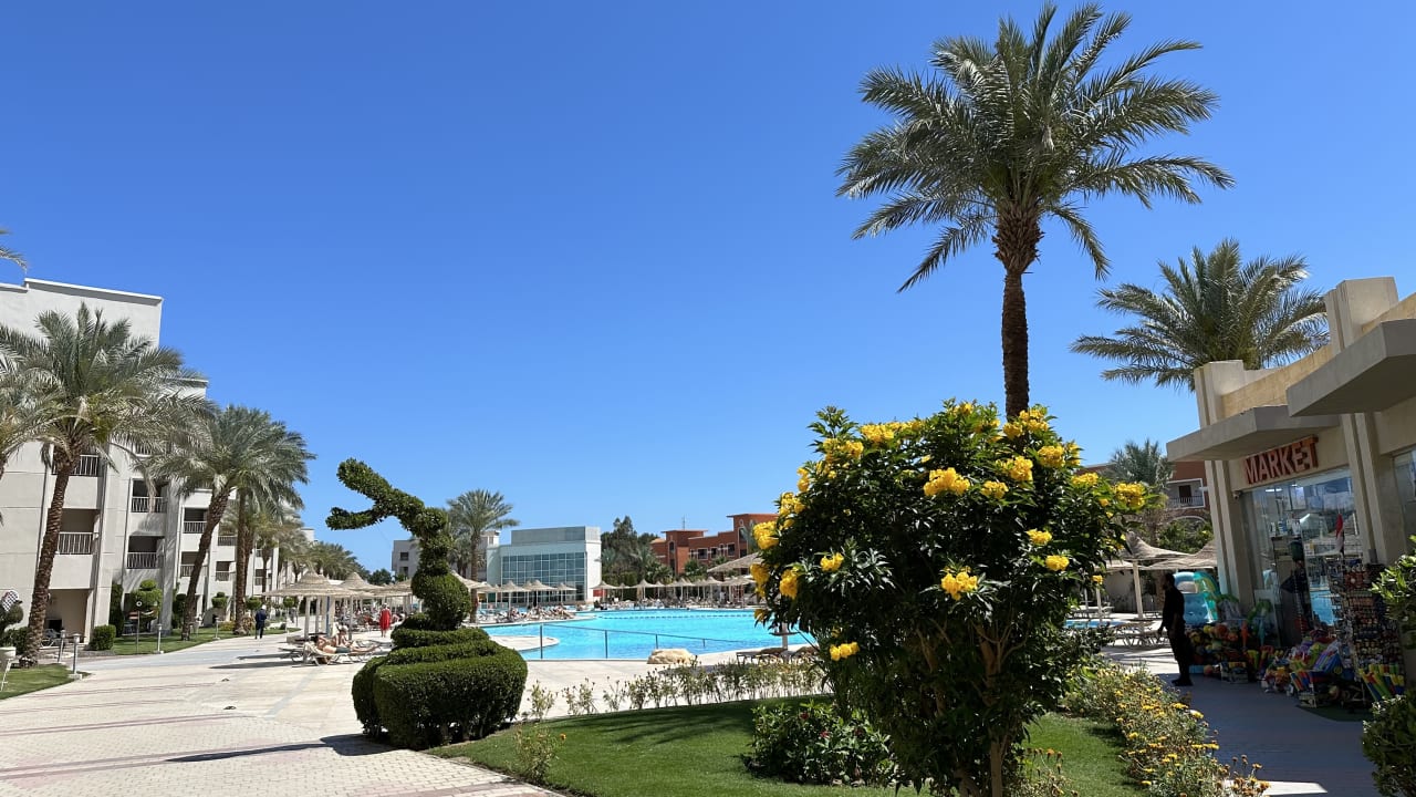 Pool Jaz Soma Beach