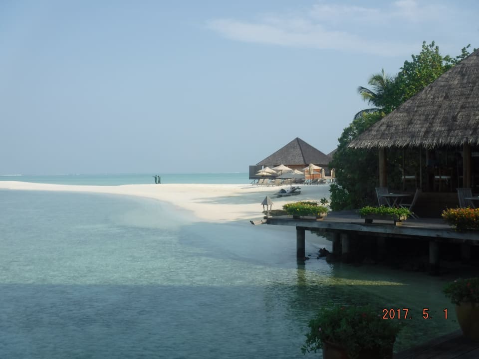 Ausblick Gangehi Island Resort