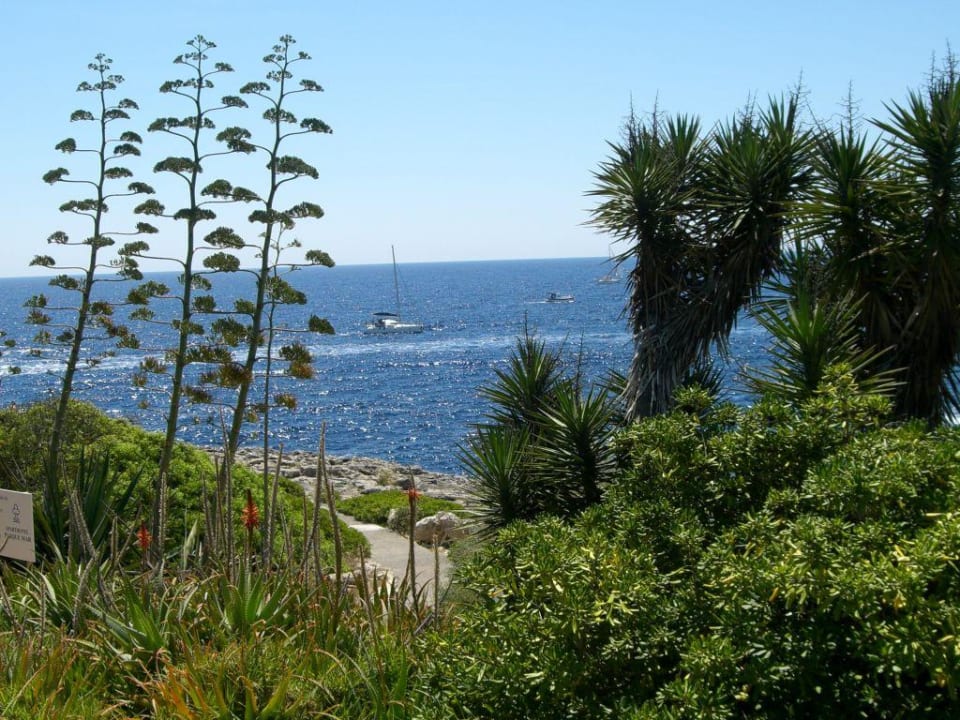 Blick aufs Meer Apartamentos Parque Mar