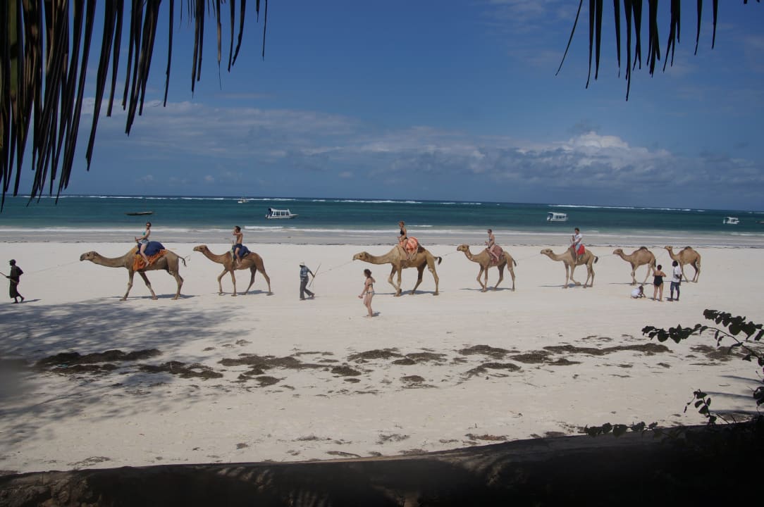 Strand Hotel Papillon Lagoon Reef