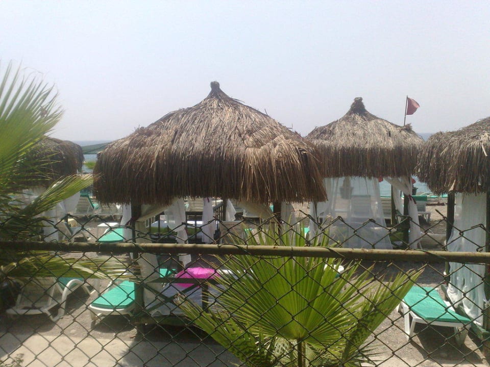 Strandbetten Botanik Hotel & Resort