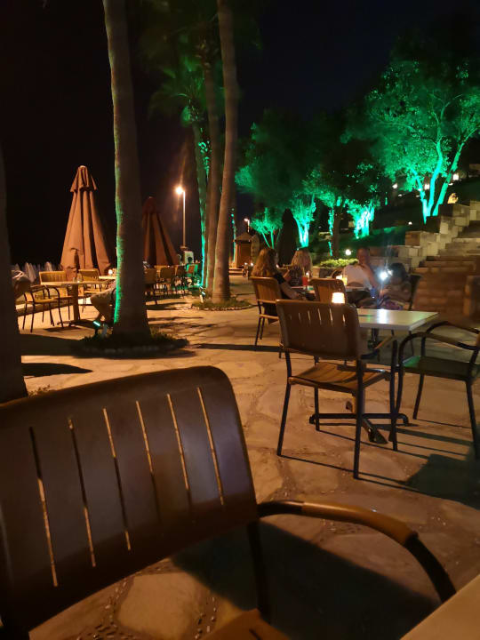 Gastro Arum Barut Collection