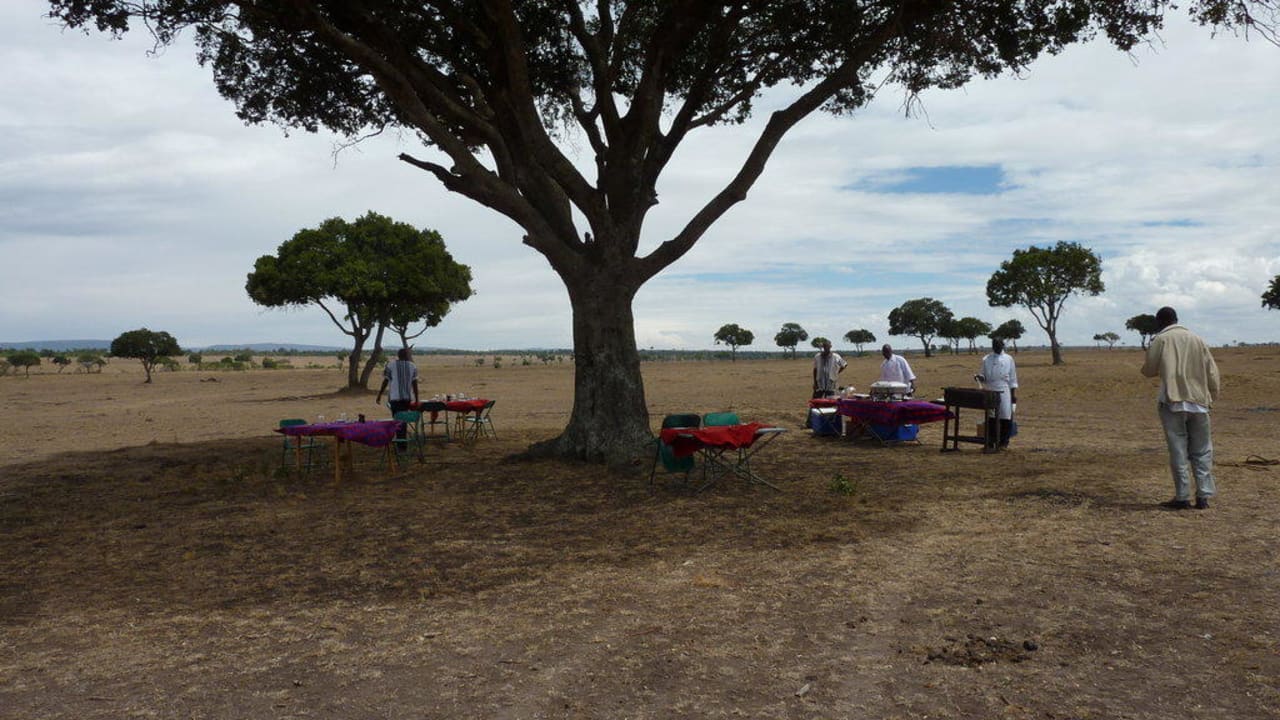 Mittagessen Royal Mara Safari Lodge