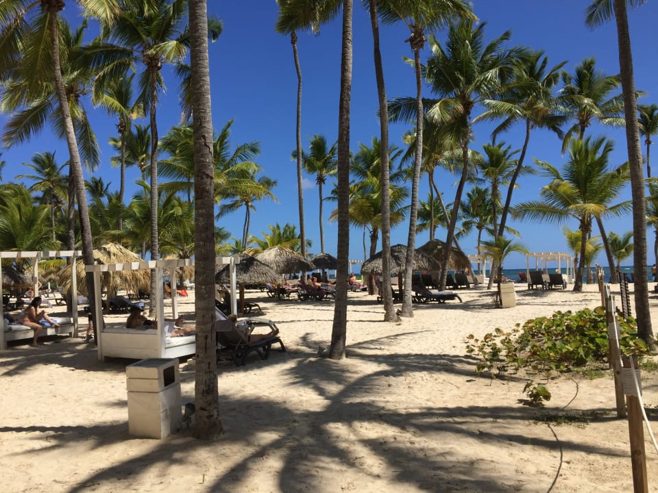 Strand Catalonia Punta Cana - All Inclusive