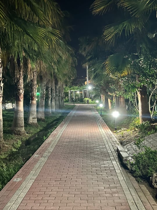 Gartenanlage Seaden Sea World Resort & Spa