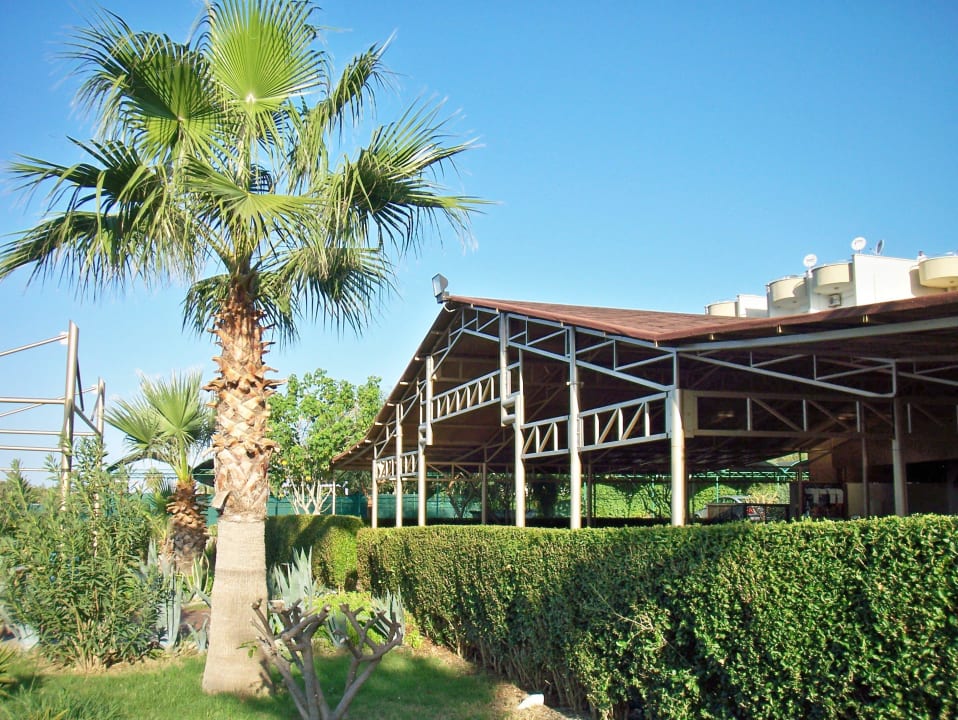 Strandbar Solivia Hotel