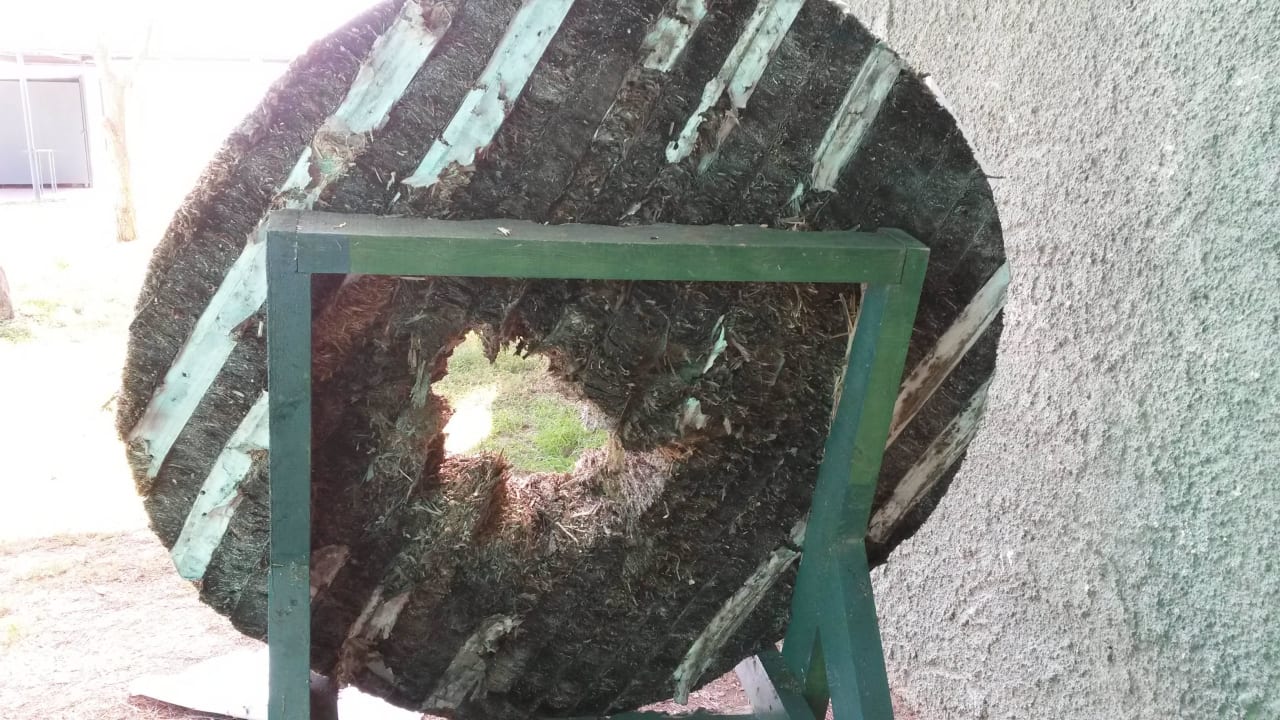 Ohne Worte Ali Bey Club