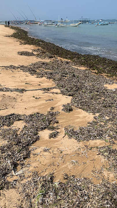 Strand InterContinental Bali Sanur Resort