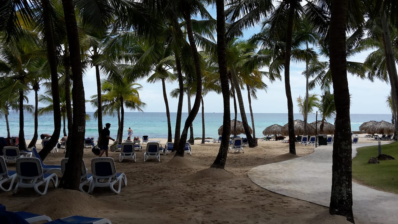 Strand Hotel Viva Dominicus Palace by Wyndham-All Inclusive Resort