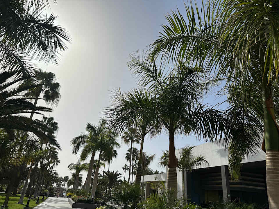 Außenansicht Hotel Riu Gran Canaria