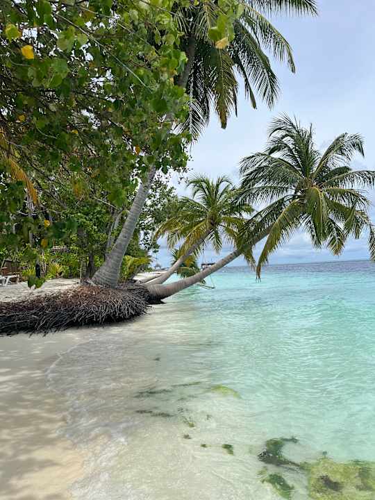 Außenansicht Vilamendhoo Island Resort & Spa