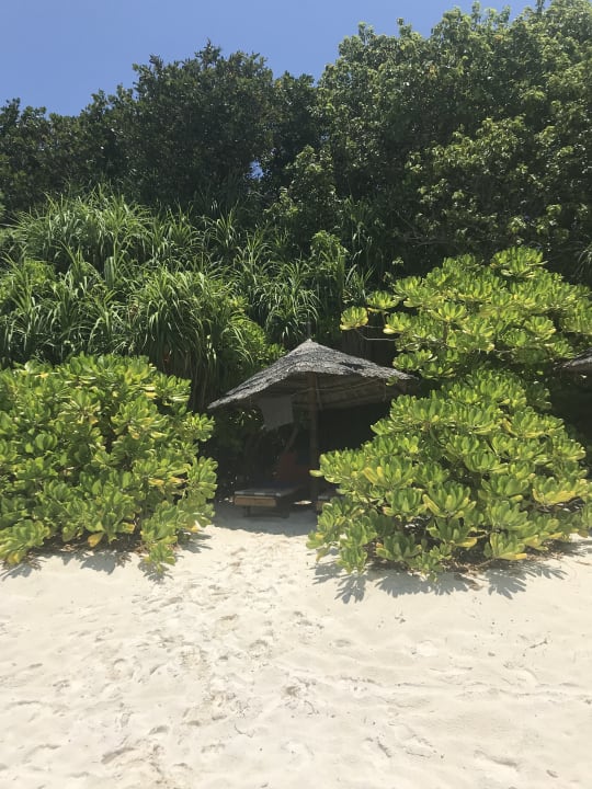 Gartenanlage Reethi Beach Resort