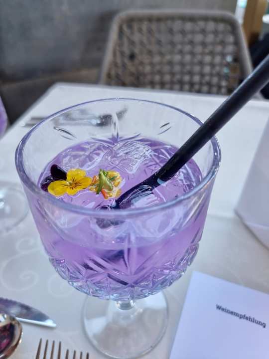 Gastro YachtHotel Helvetia Wellness & Spa Domizil