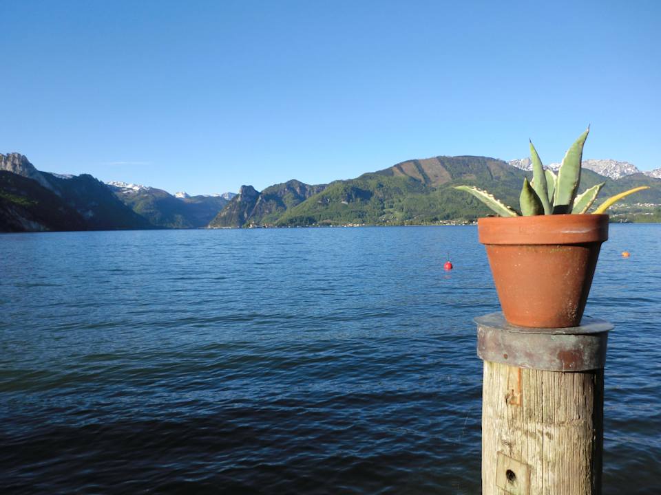 Blick auf den Traunsee vom Badeplatz Haus Gschliefort
