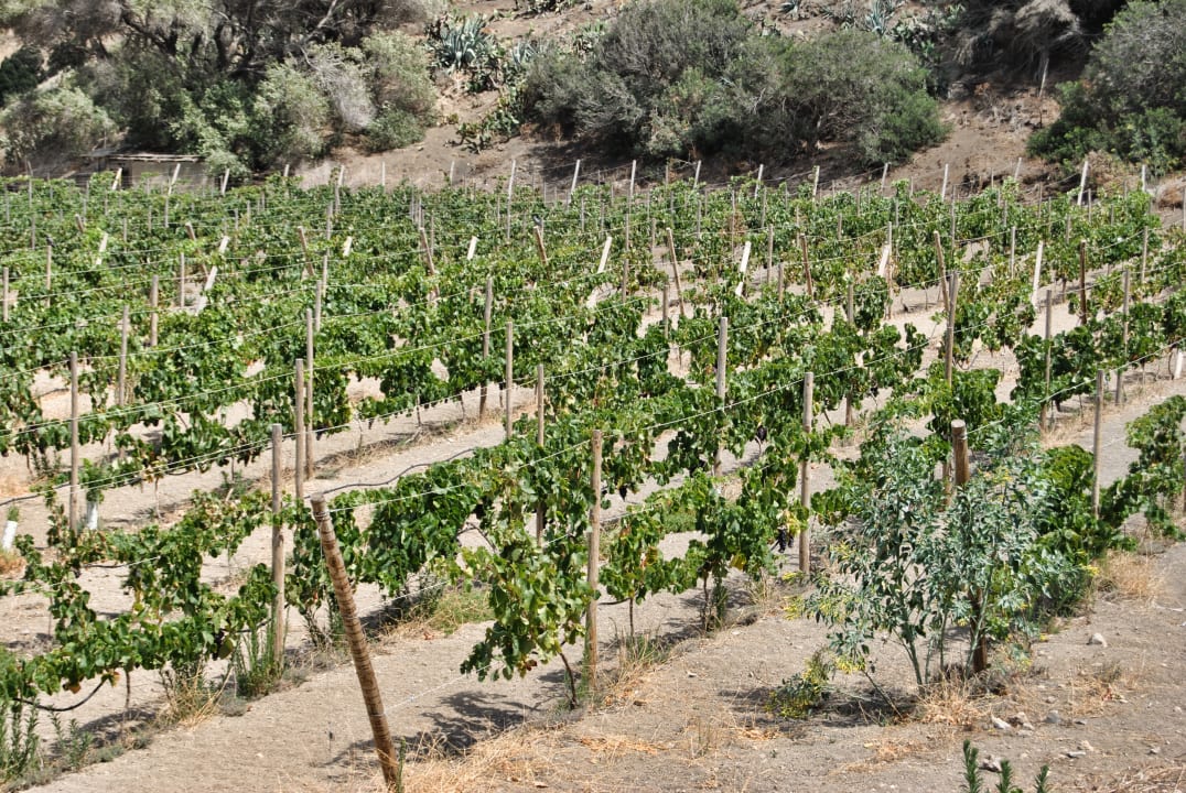 Gartenanlage Hotel Rural El Mondalón