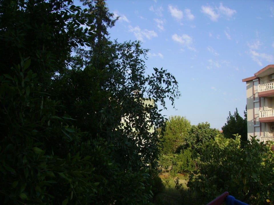 Ausblick New Garden Hotel Side