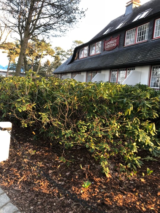 Außenansicht PLAZA Premium Timmendorfer Strand