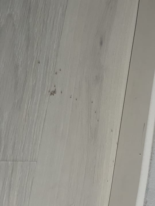 Zimmer BG Hotel Caballero