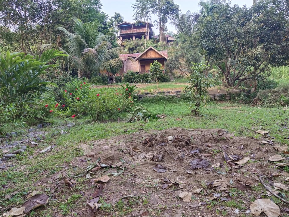 Gartenanlage Mountain View Cottages & Restaurant