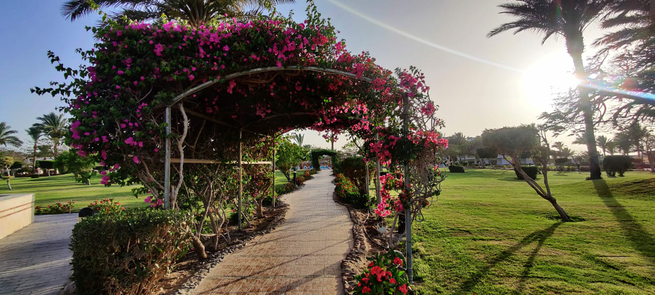Gartenanlage Hurghada Long Beach Resort