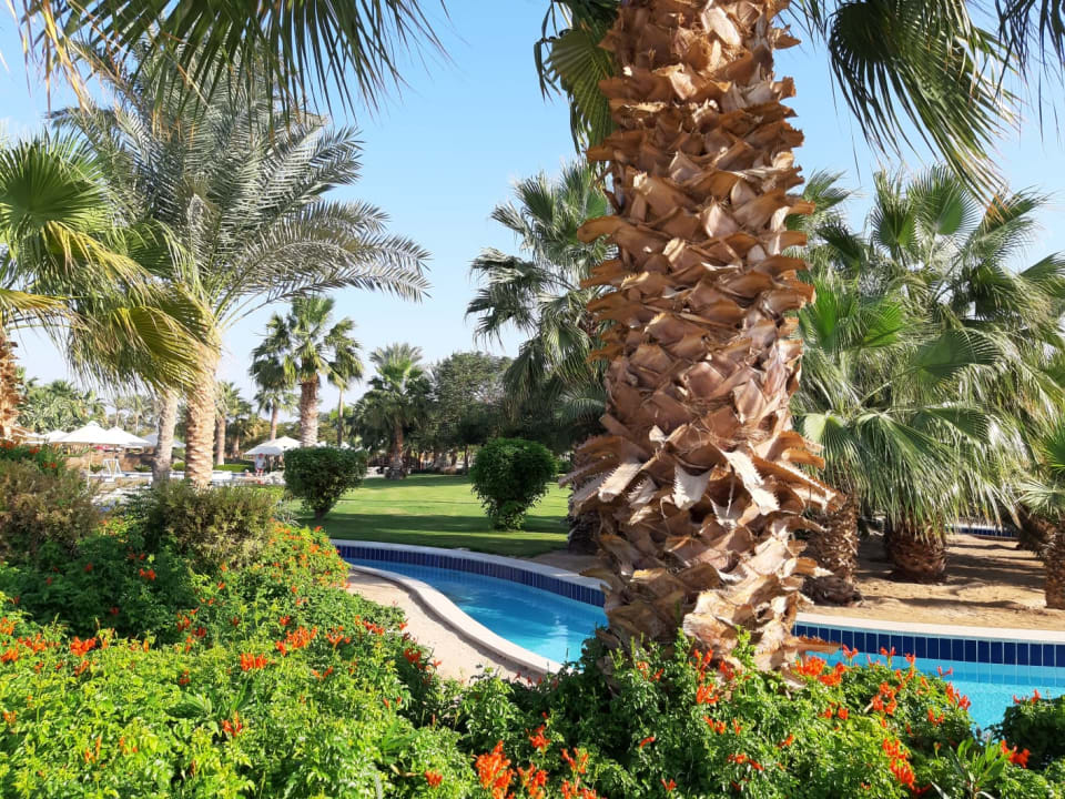 Gartenanlage Steigenberger ALDAU Beach Hotel