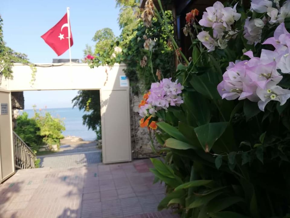 Ausblick Can Garden Beach