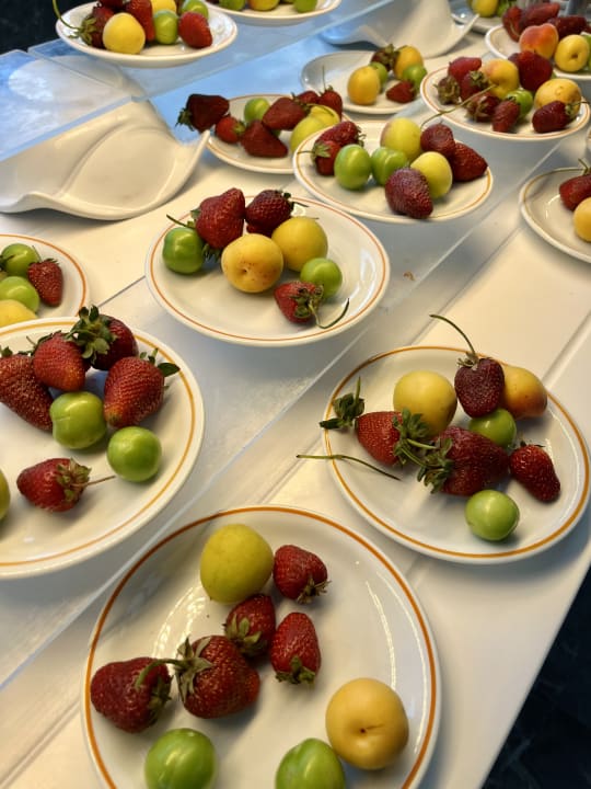 Gastro Monachus Family Resort Sorgun