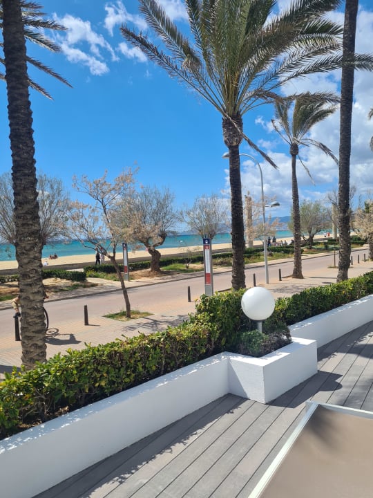 Ausblick HM Tropical