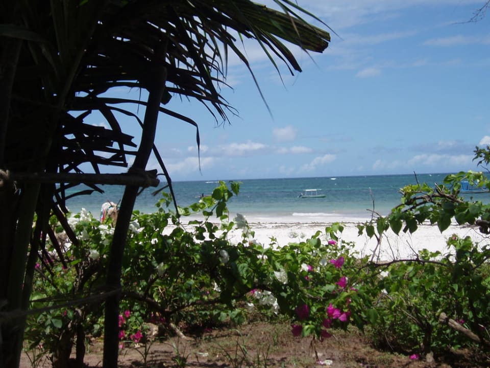 Strand Hotel Papillon Lagoon Reef