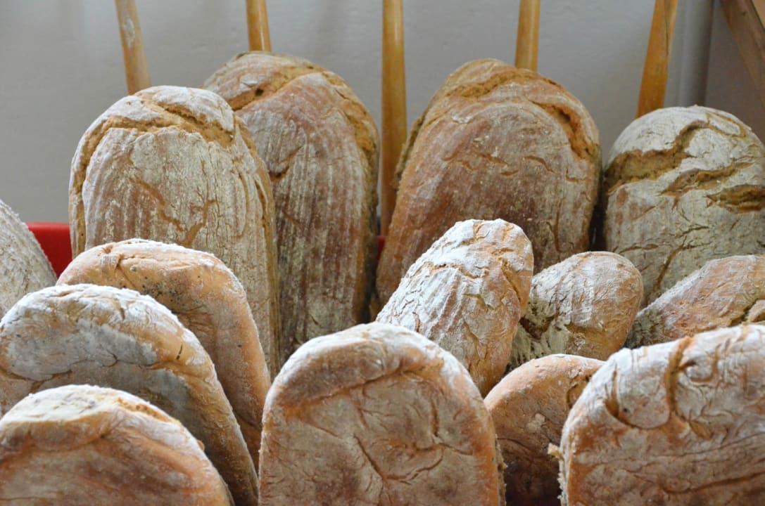 Gastro Peintnerhof-Auszeit nehmen Gesundheit fördern