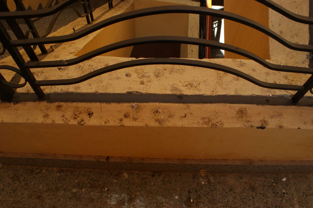 Aufgang zum 5 Sterne Zimmer Malikia Resort Abu Dabbab