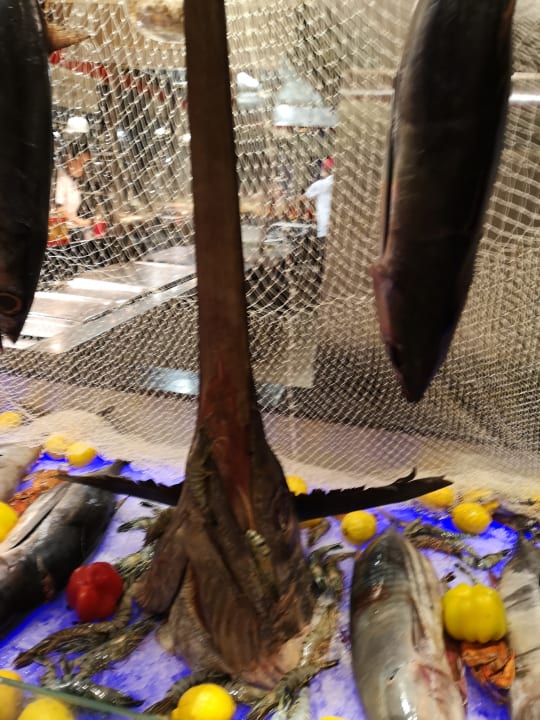 Gastro Limak Lara Deluxe Hotel & Resort