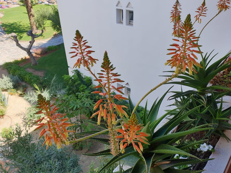 Ausblick Creta Maris Resort