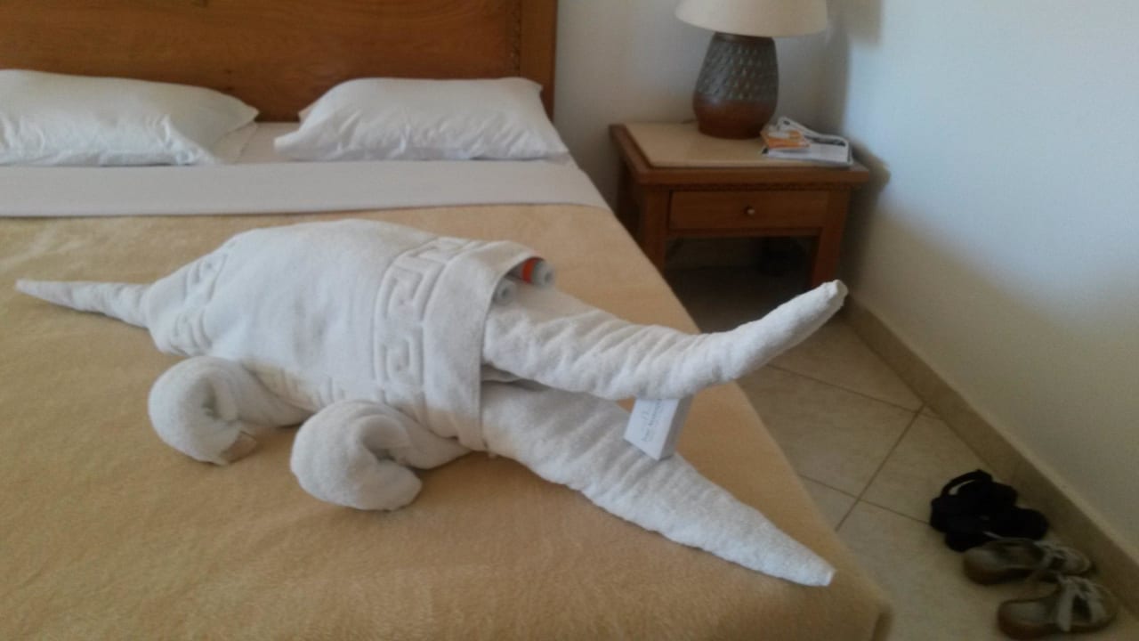 Überraschung von unserem Zimmermann Fort Arabesque Resort, Spa & Villas