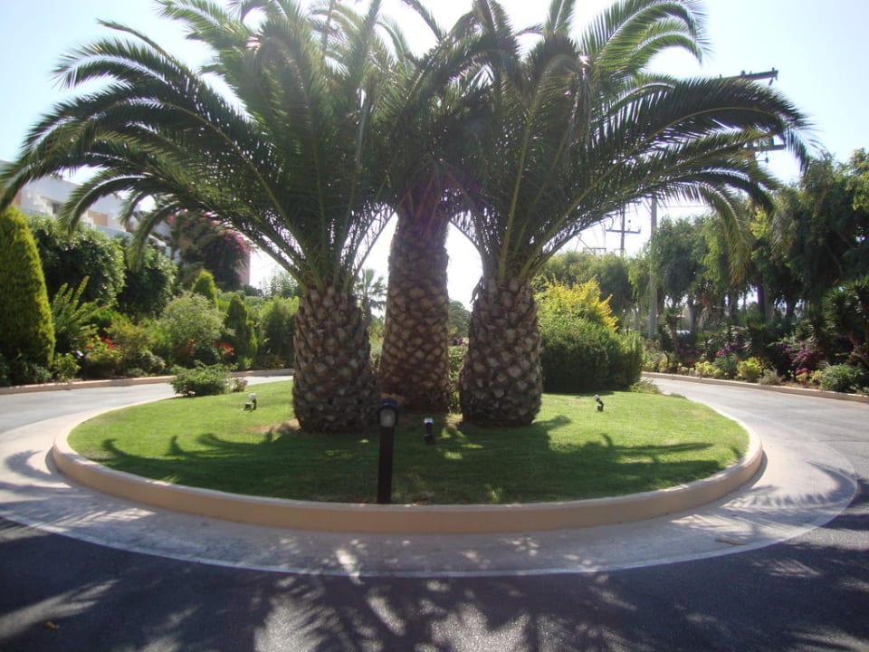 Vor dem Hotel Anissa Beach & Village