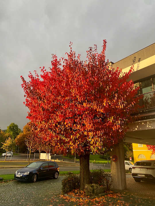 Außenansicht Schlosshotel Bad Wilhelmshöhe Conference & Spa