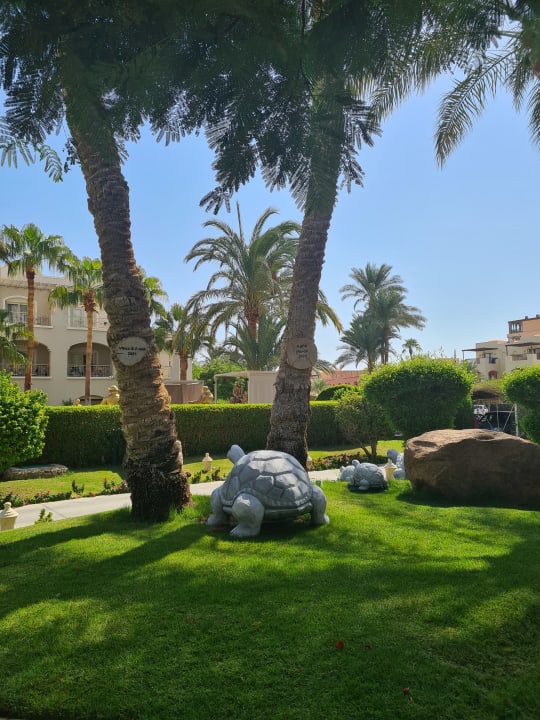 Außenansicht Hotel JAZ Makadi Star & Spa