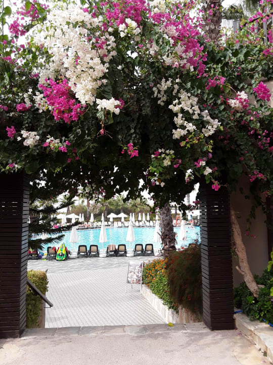 Gartenanlage Alba Resort Hotel