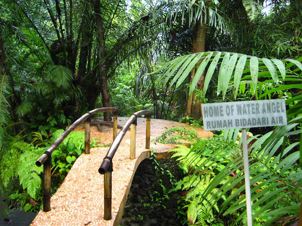 Meditationsplatz Jiwa Damai Jiwa Damai Retreat Bali
