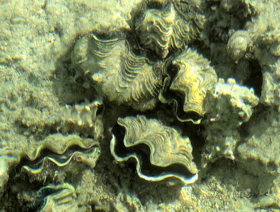 Strand Steigenberger Aqua Magic