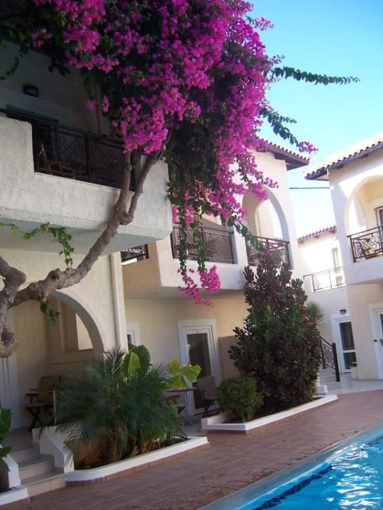 Blick zu unserer Terrasse Hotel Little Inn