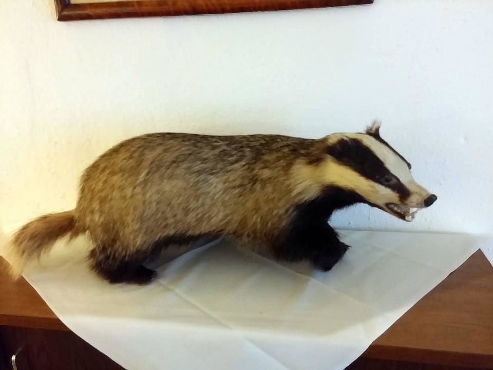 Auch im Gastraum Pension Gartenhaus